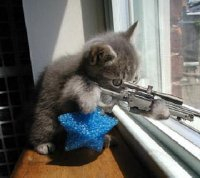 Sniperkitten